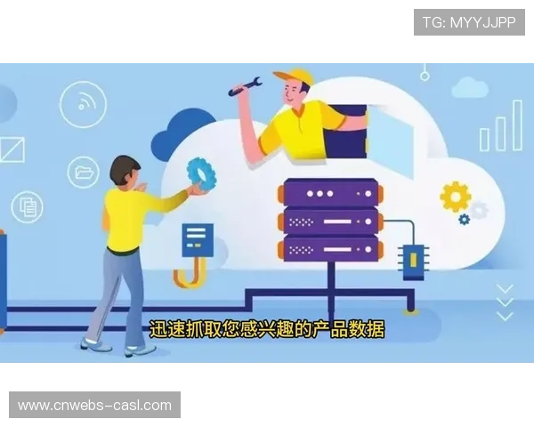 数据产品定制服务兴起，满足差异化客户需求