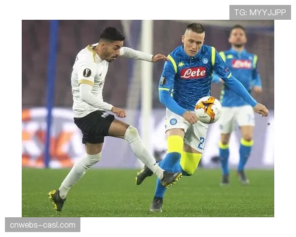 隐私边界探讨：意甲球迷会员体系收集的行为数据正被用于何种商业开发